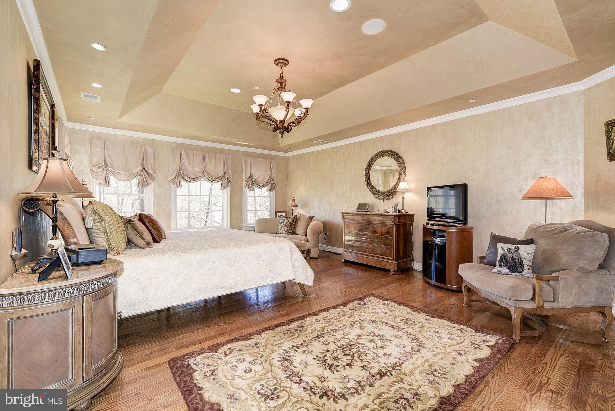 8586 Brickyard Road Potomac, MD 20854 - Photo 24 of 49 MASTER BEDROOM-TRAY CEILING AND CUSTOM PAINTING
