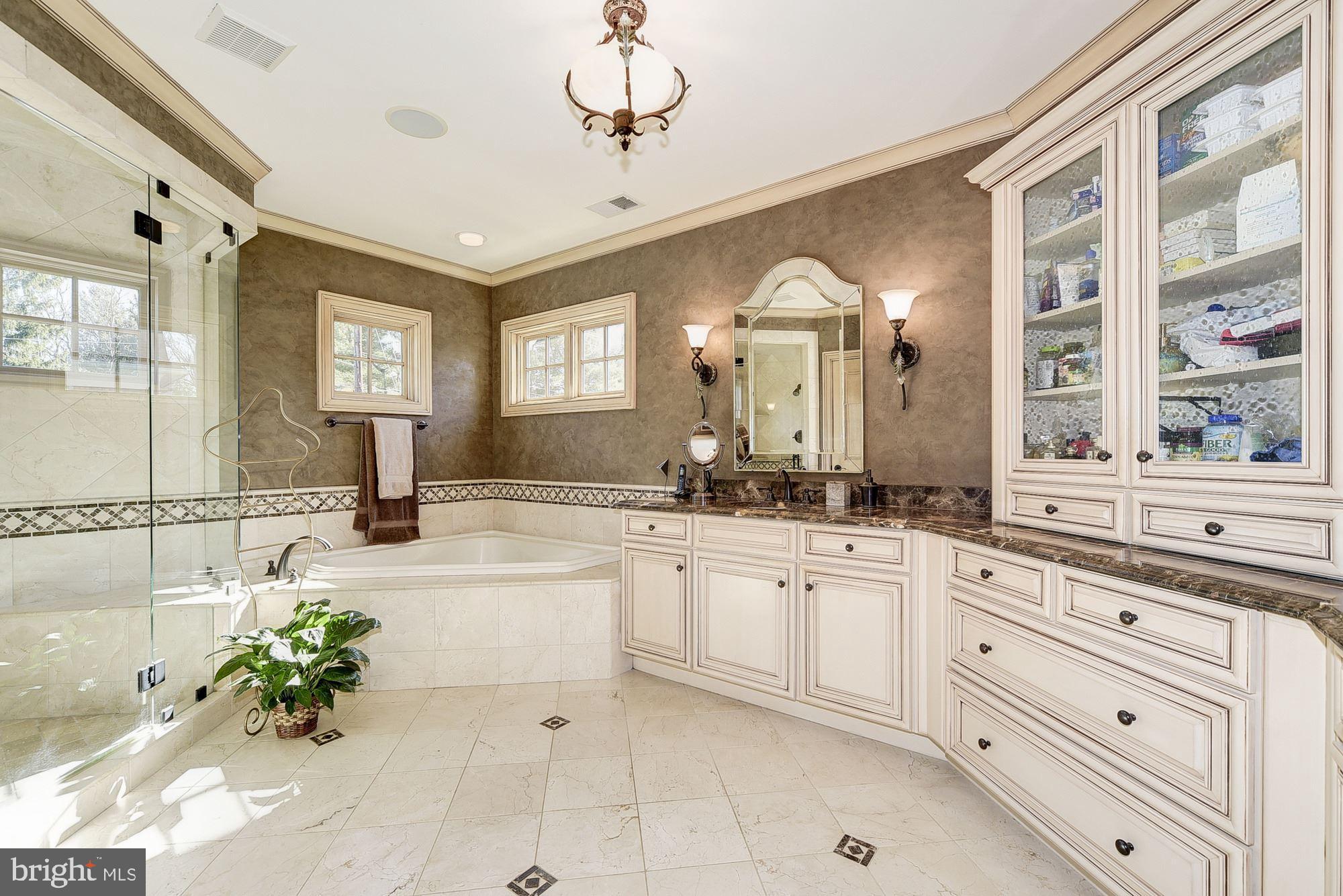 8586 Brickyard Road Potomac, MD 20854 - Photo 29 of 49 MASTER BATH TUB AND SEPARATE SHOWER