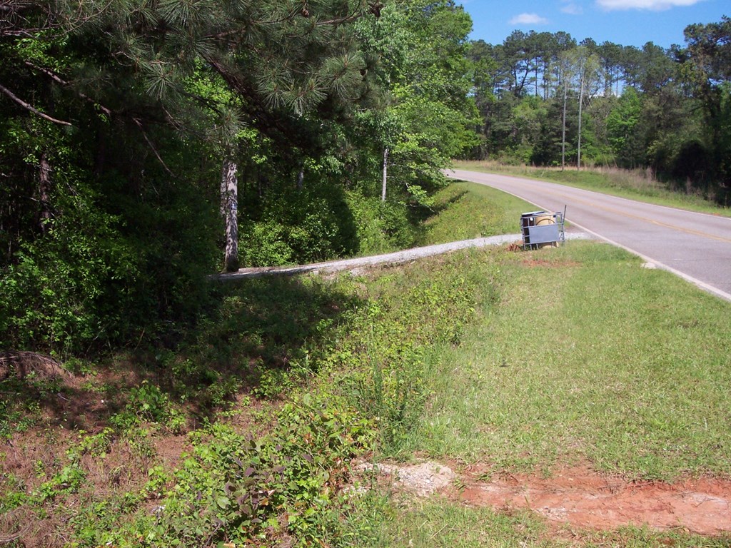 0 Johnson Mill Road Hamilton, GA 31811 - Photo 3 of 5 Gallery Image 3