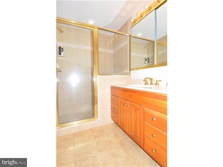 216 Spruce Tree Road Wayne, PA 19087 - Photo 11 of 16 Bathroom