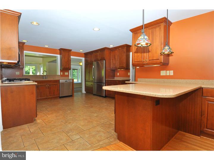 216 Spruce Tree Road Wayne, PA 19087 - Photo 6 of 16 Kitchen