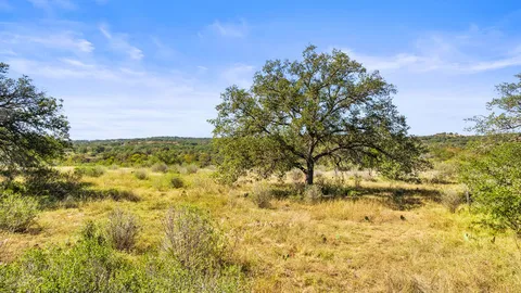 a view of a large body of water with lots of trees
