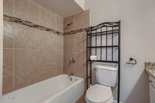 a bathroom with a toilet and a bathtub