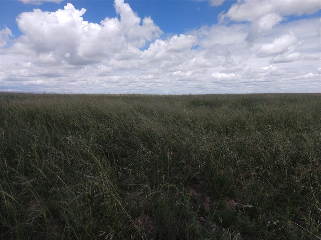 Parcel 14 Sengbeil Road Yoder, CO 80864 - Photo 5 of 10