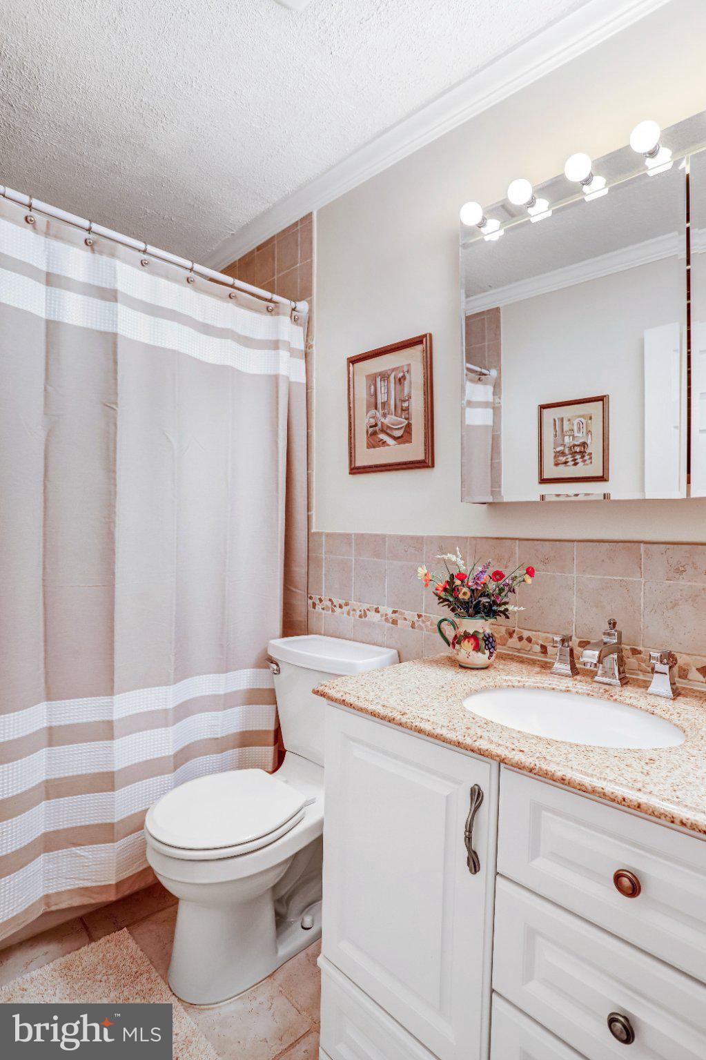 229 Windridge Acres Court Silver Spring, MD 20905 - Photo 55 of 86 Gallery Image 55