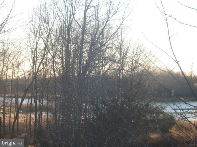 3429 Hidden River View Road Annapolis, MD 21403 - Photo 24 of 29 Winter Water Views