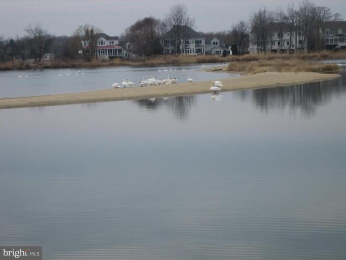 3429 Hidden River View Road Annapolis, MD 21403 - Photo 28 of 29 Community Beach