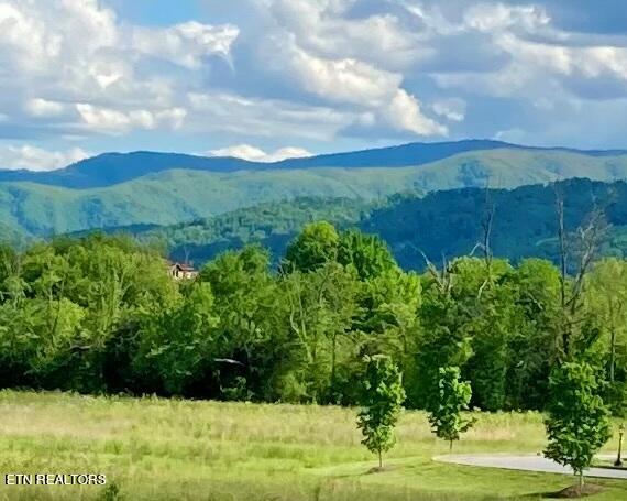 424 Country Path Way Sevierville, TN 37862 - Photo 3 of 29 IMG_0037