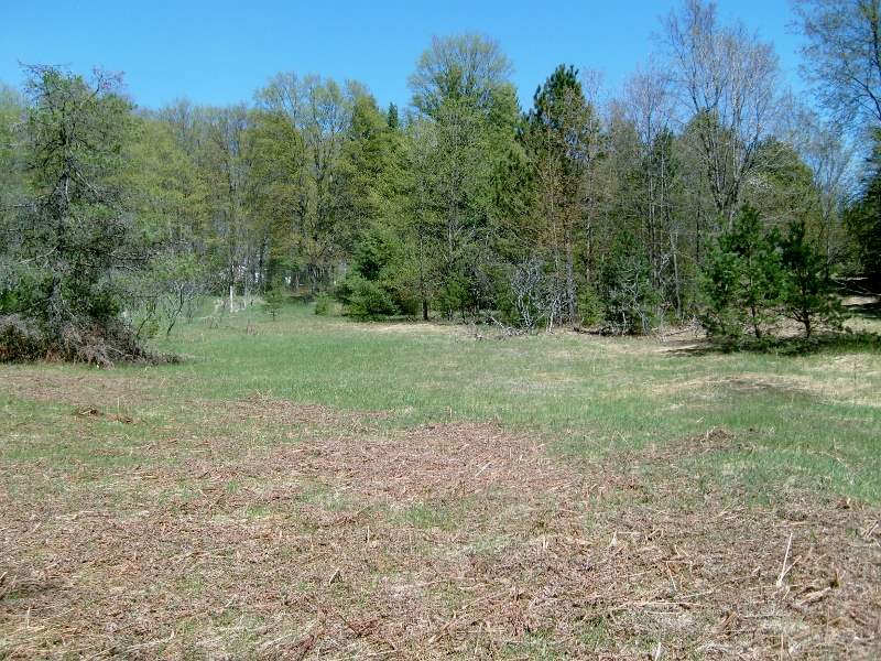 335 West Sharon Road Southeast Fife Lake, MI 49633 - Photo 95 of 99 1874973-94.JPG