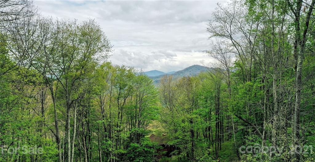 1933 Laurel Ridge North Maggie Valley, NC 28751 - Photo 4 of 44 a view of a yard