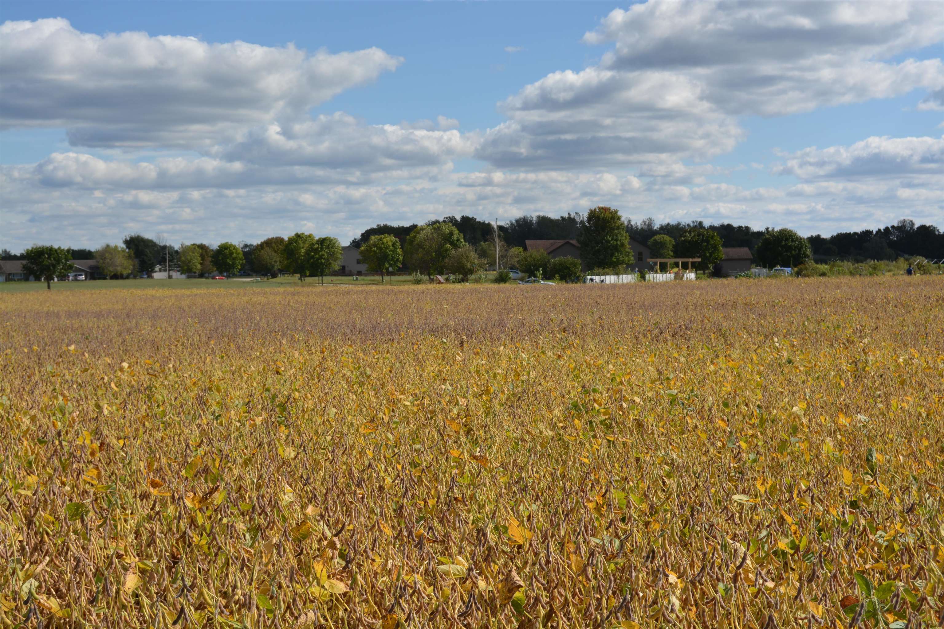 Lot 11 Sommerset Spring Green Spring Green, WI 53588 - Photo 3 of 17