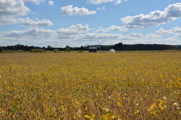 $65,900 | Lot 11 Sommerset Spring Green, Spring Green, WI 53588