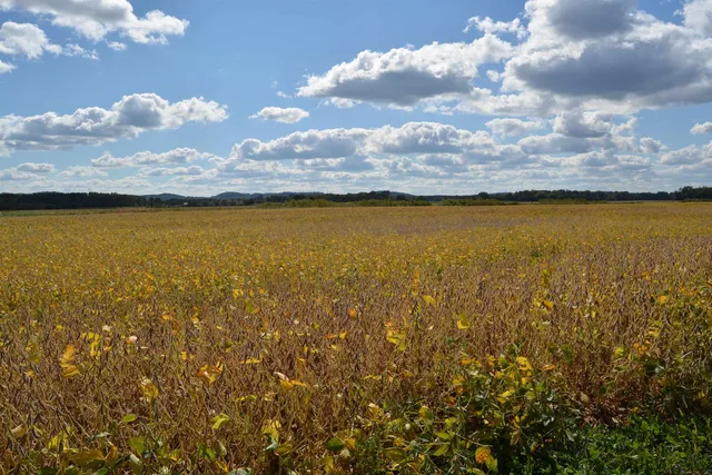 $65,900 | Lot 11 Sommerset Spring Green, Spring Green, WI 53588