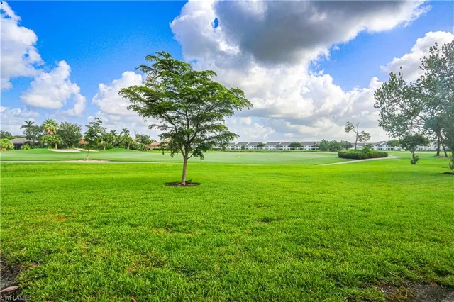 a view of a trees with a big yard