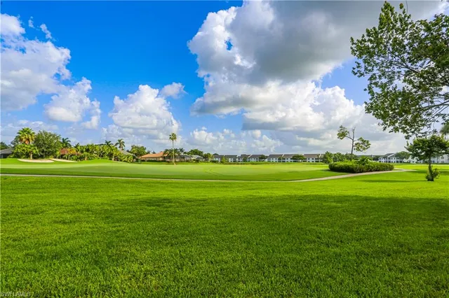 a view of a big yard