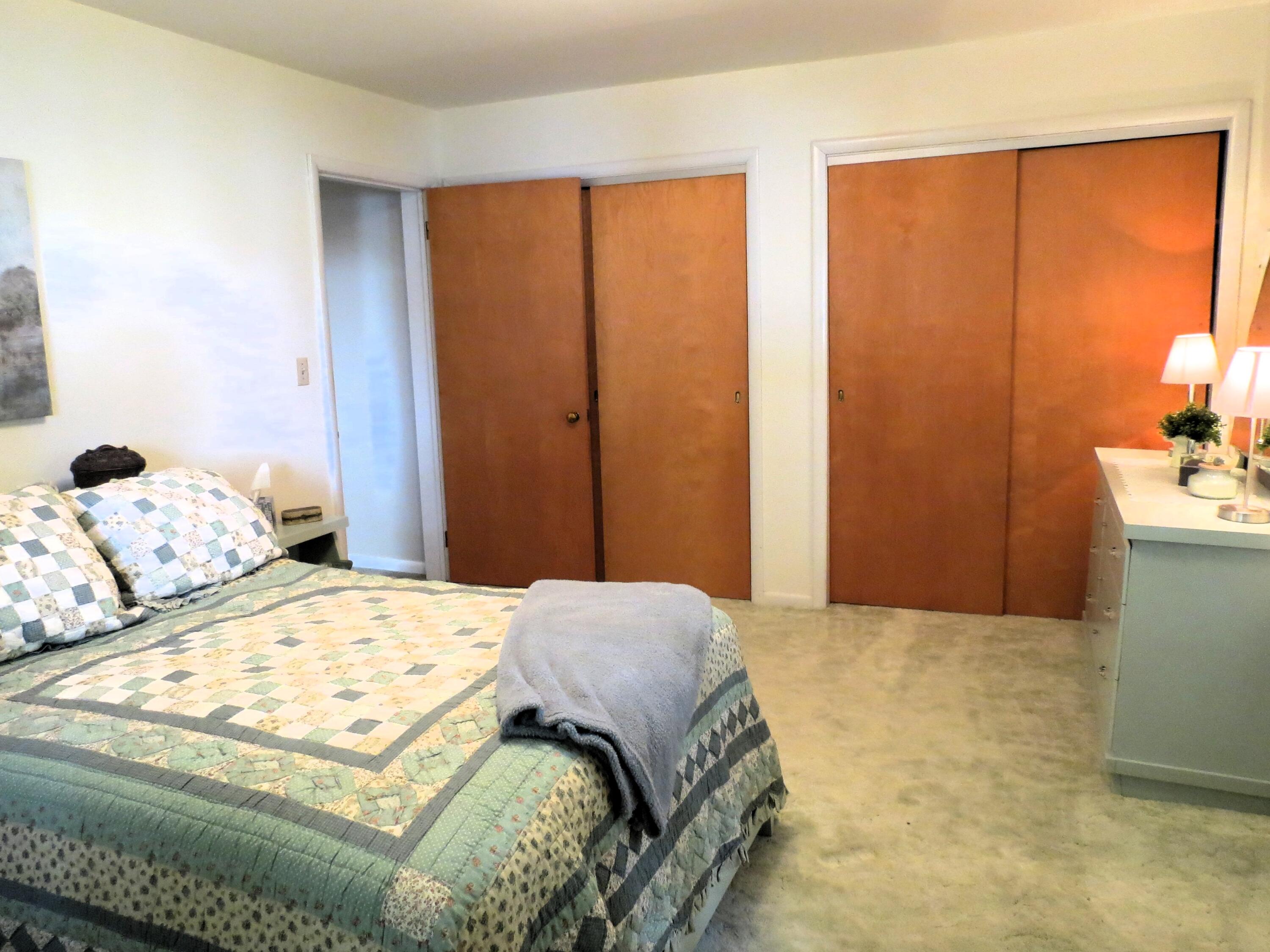 890 White Lake Road Pleasant Lake, MI 49272 - Photo 24 of 74 Ample closet storage