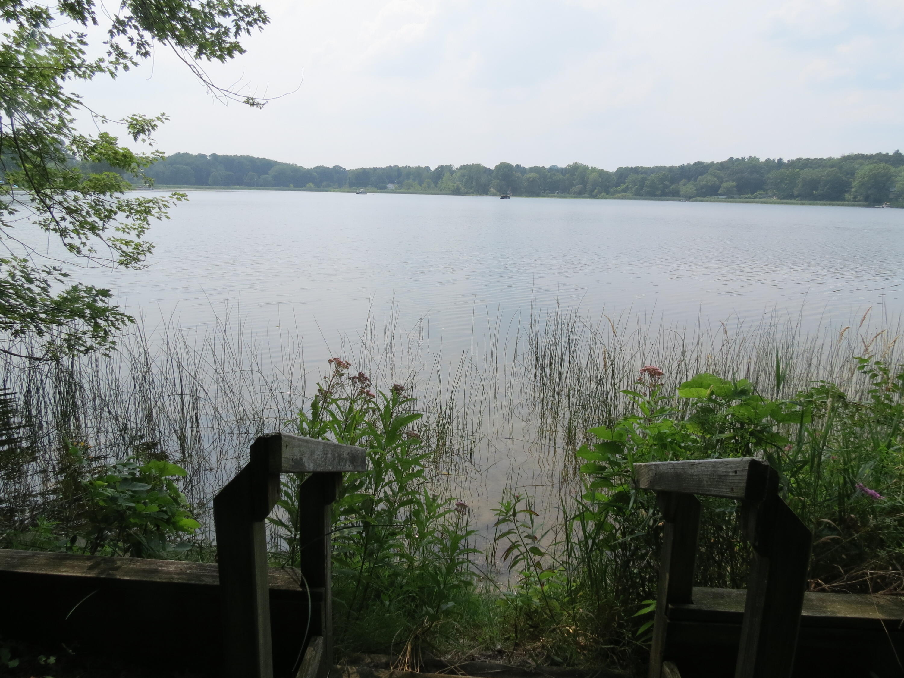 890 White Lake Road Pleasant Lake, MI 49272 - Photo 69 of 74 Stunning views