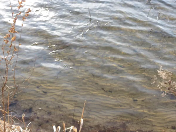 $579,900 | 890 White Lake Road, Pleasant Lake, MI 49272