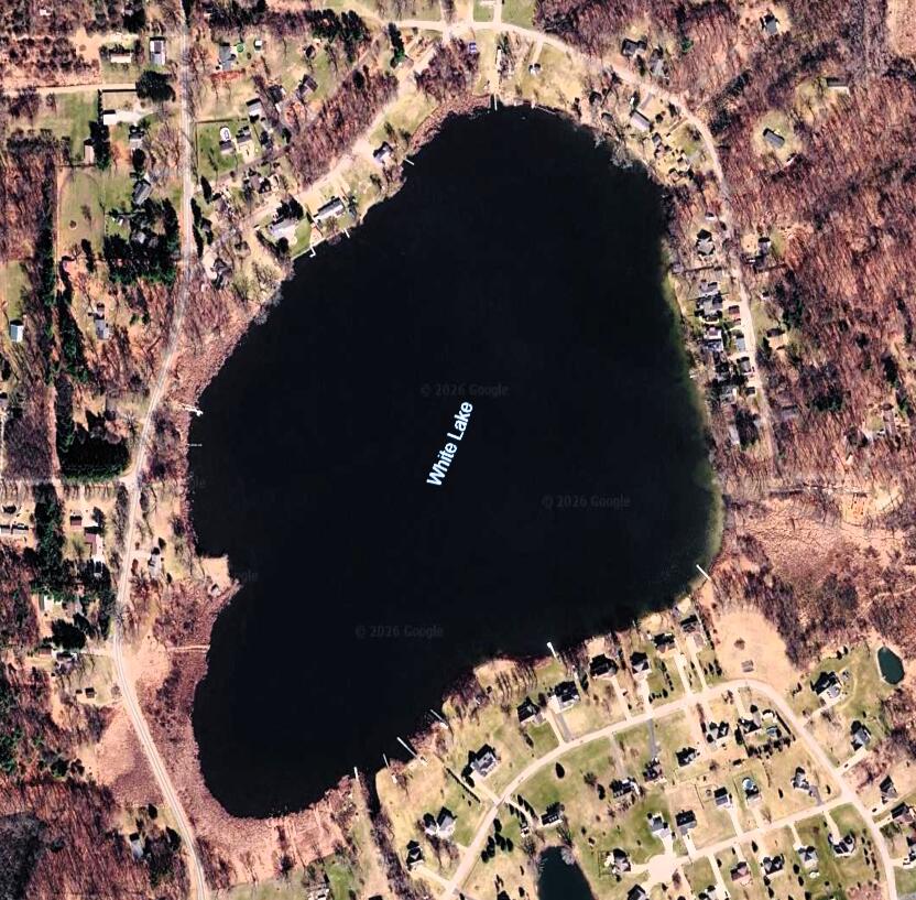 890 White Lake Road Pleasant Lake, MI 49272 - Photo 79 of 85 White Lake