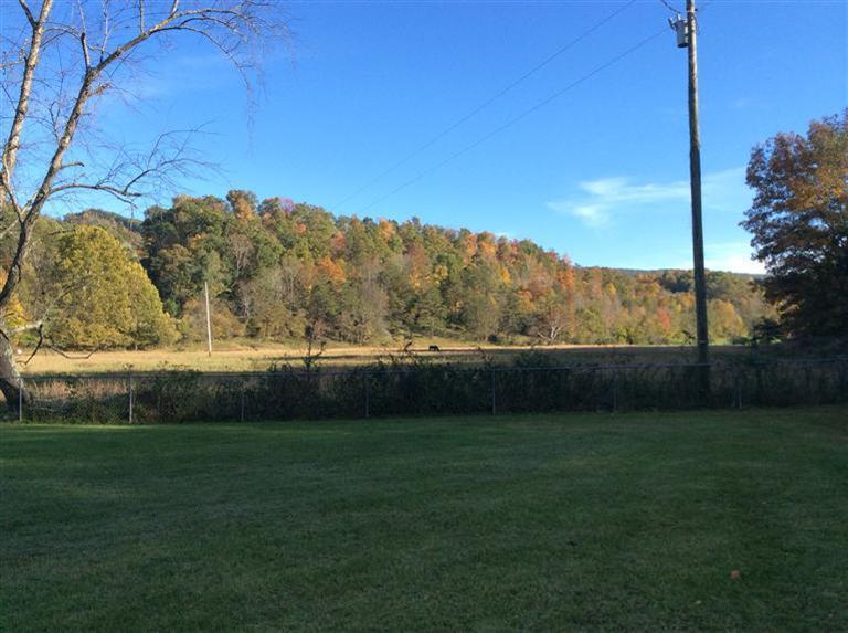 1476 Granny Holt Road Strunk, KY 42649 - Photo 18 of 18 Additional Photo