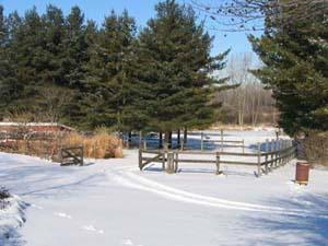 S38-w38310 County Rd D Ottawa, WI 53118 - Photo 1 of 1 THE SETTING