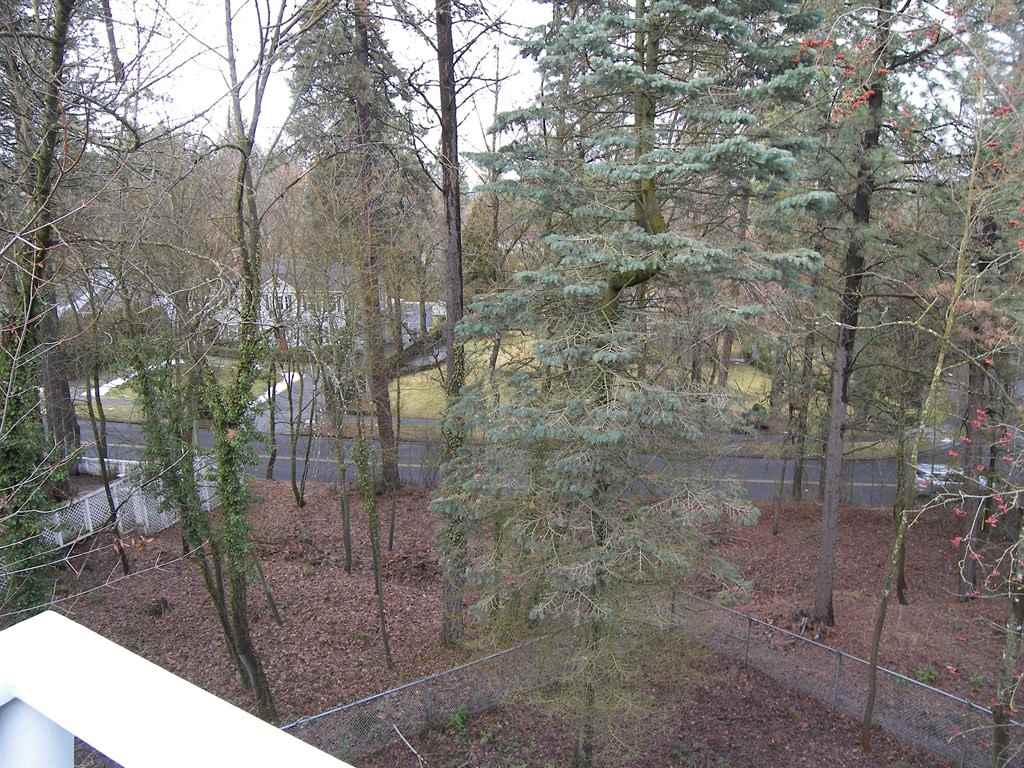825 East Crest Road, Unit 840 E ROCKWOOD BLVD Spokane, WA 99203 - Photo 12 of 20 Gallery Image 12