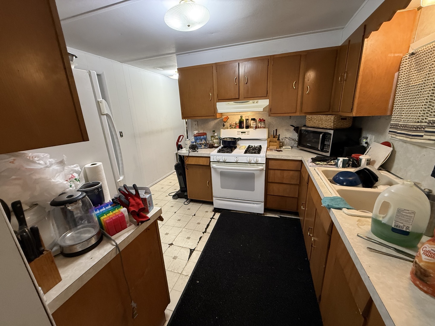 224 Big Peninsula Road Elgin, IL 60123 - Photo 5 of 15