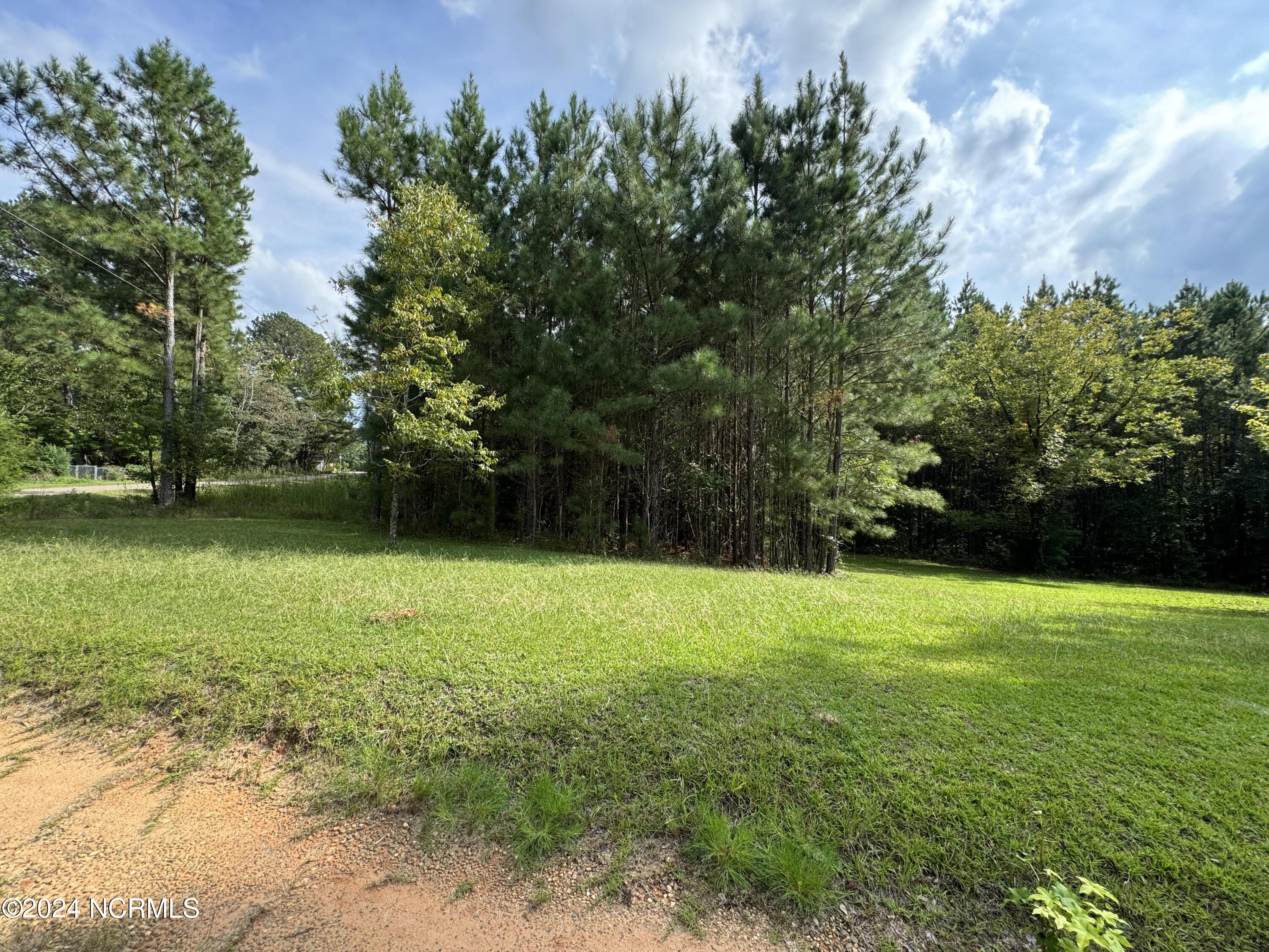 185 Deese Road Carthage, NC 28327 - Photo 4 of 12 Toward Side