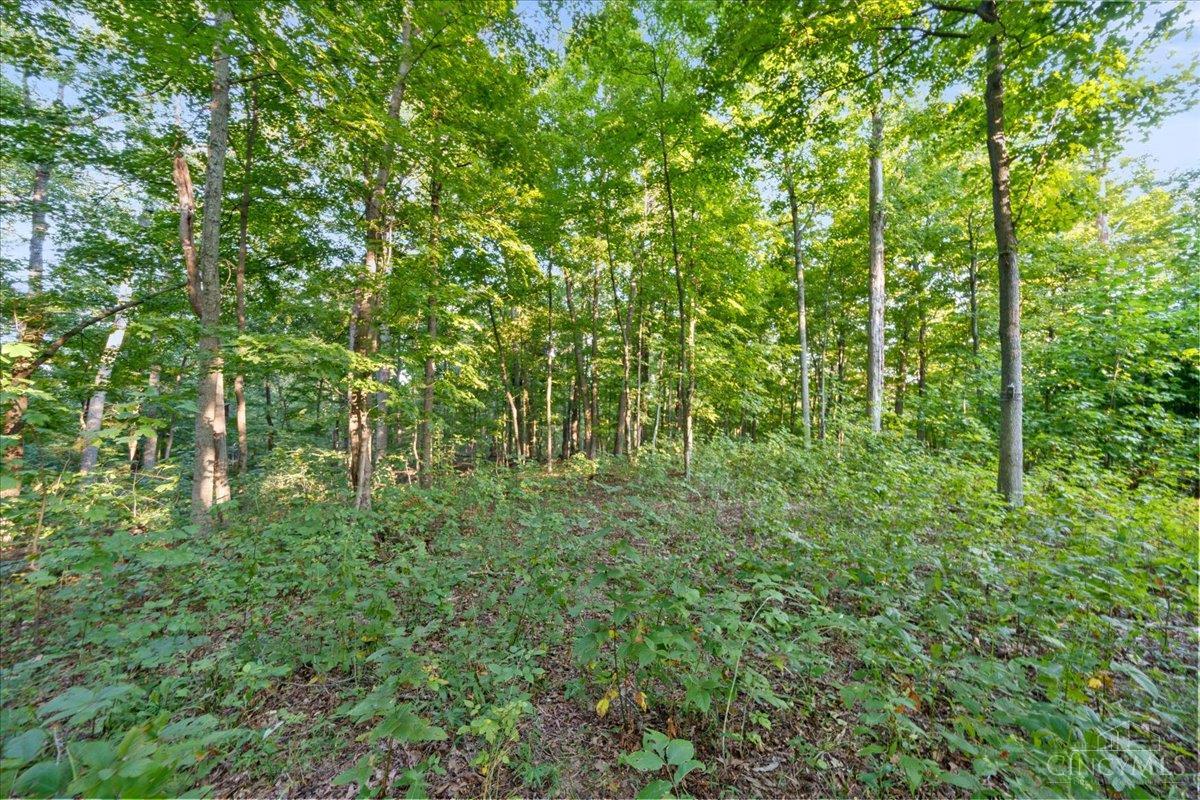 Acres Waggoner Riffle Road West Union, OH 45693 - Photo 12 of 29 Gallery Image 12