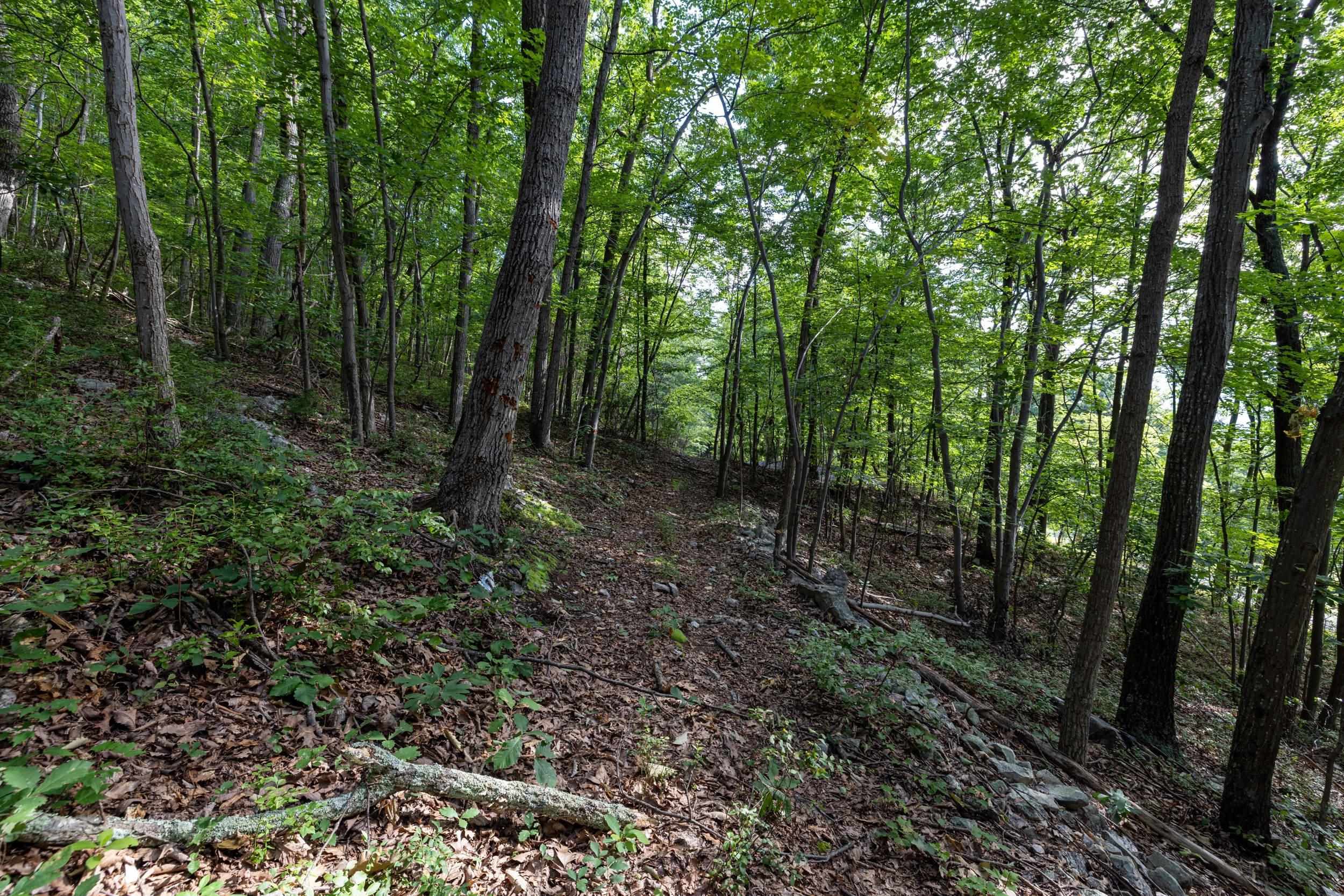 0 Roundhead Mountain Road Stanley, VA 22851 - Photo 31 of 43 Gallery Image 31