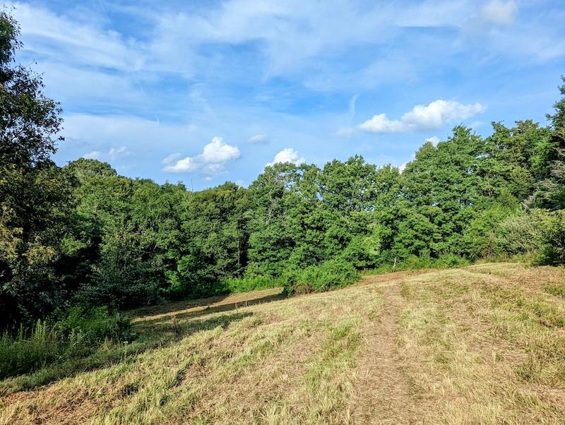 Tbd Red Oak Grove Road Northeast Floyd, VA 24091 - Photo 30 of 33 Gallery Image 30