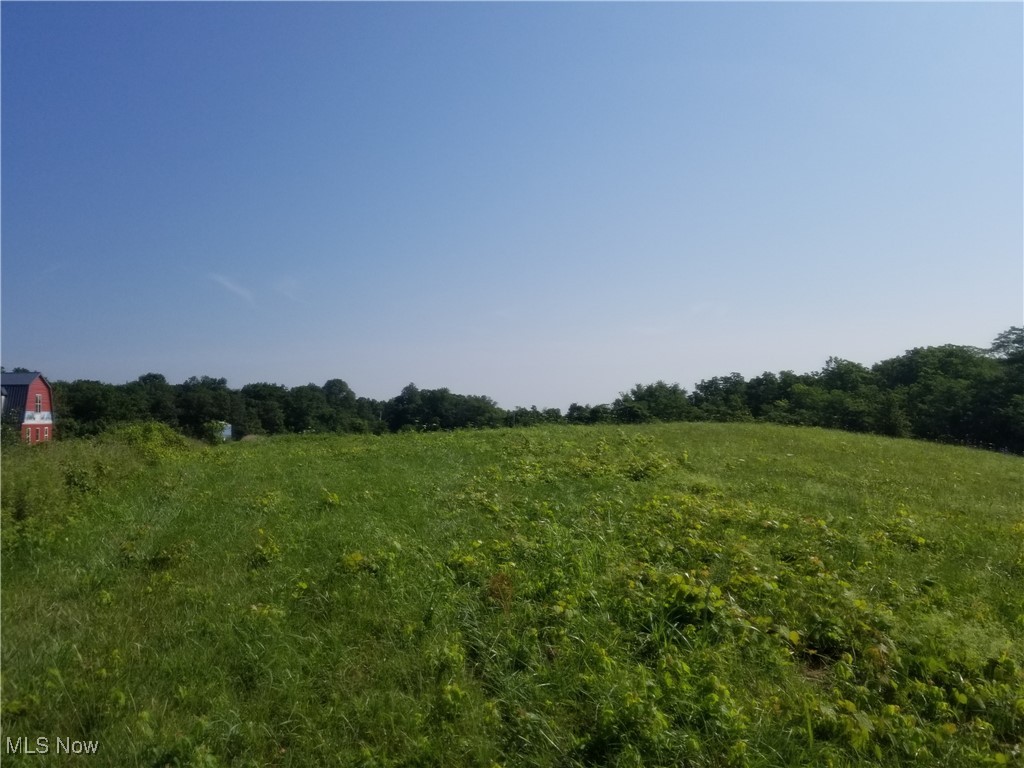 28 State Route Frankfort, OH 45628 - Photo 18 of 20 View of local wilderness with rural landscape