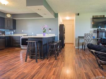 12220 Ferrin Road Carlyle, IL 62231 - Photo 14 of 36