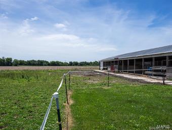 12220 Ferrin Road Carlyle, IL 62231 - Photo 24 of 36