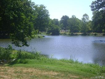 12220 Ferrin Road Carlyle, IL 62231 - Photo 36 of 36