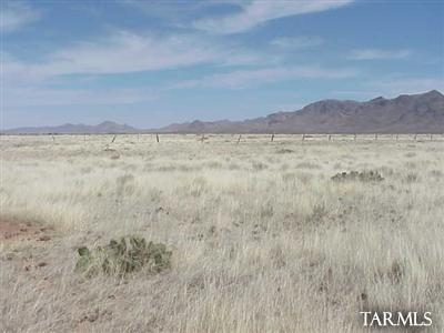 0 Coronado Valley Ranches San Simon, AZ 85632 - Photo 4 of 8