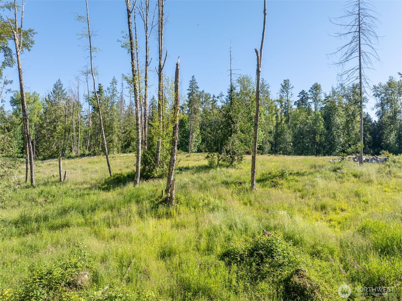 0 Chilvers Road Chehalis, WA 98532 - Photo 40 of 40