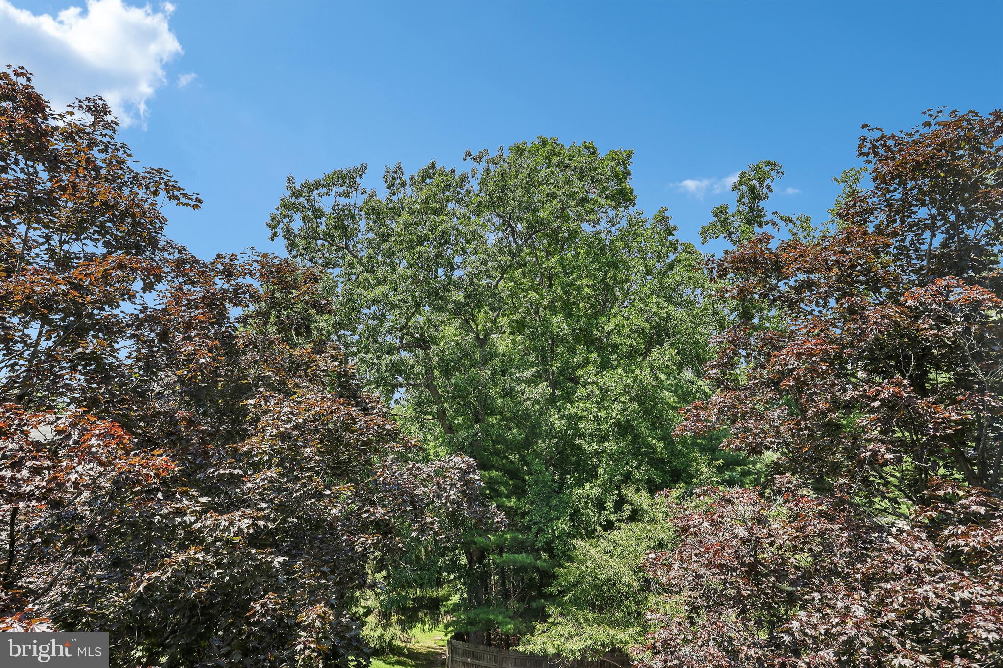 103 Brighton Road Devon, PA 19333 - Photo 48 of 53