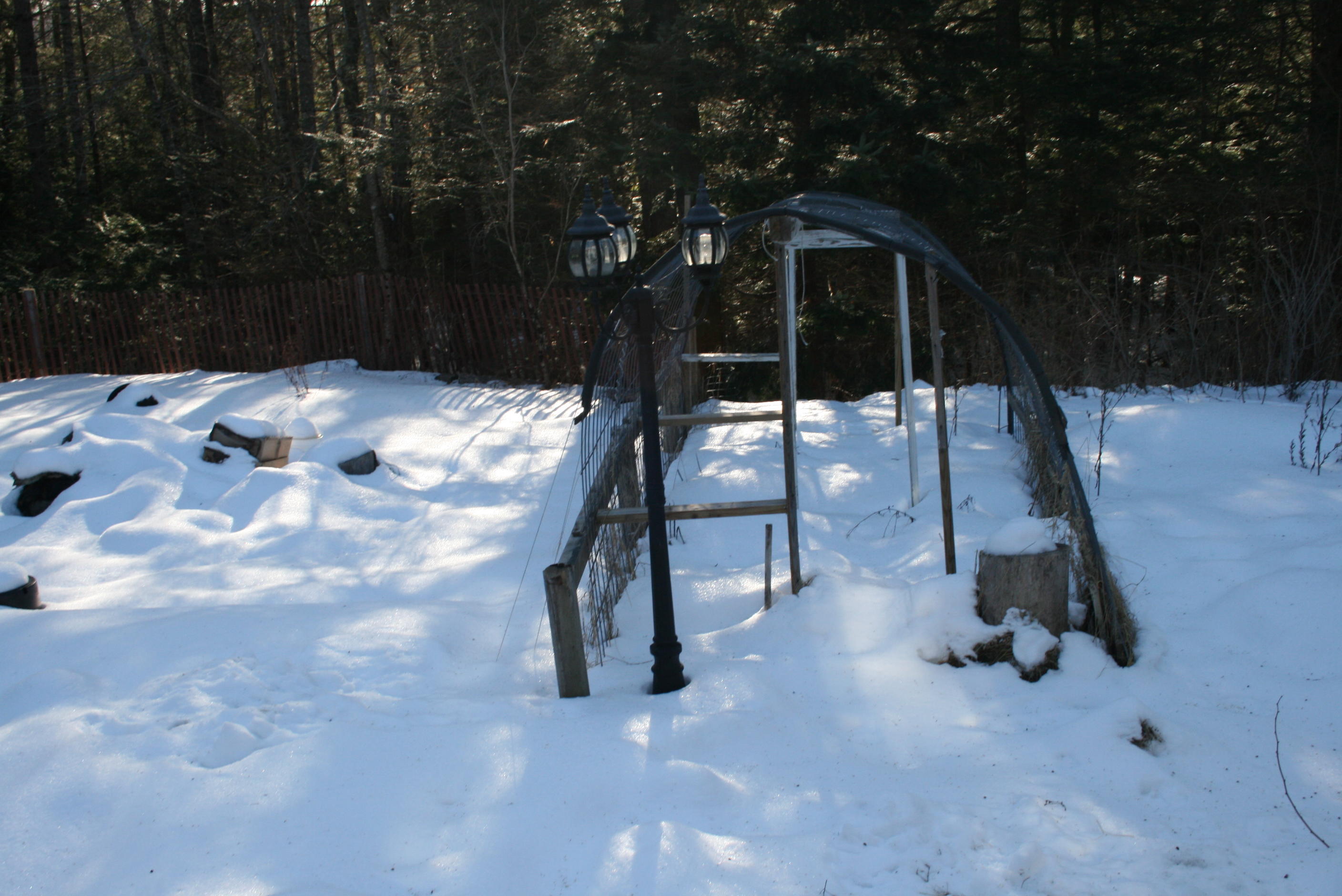 459 Norway Road Waterford, ME 04088 - Photo 18 of 33 Green house back yard