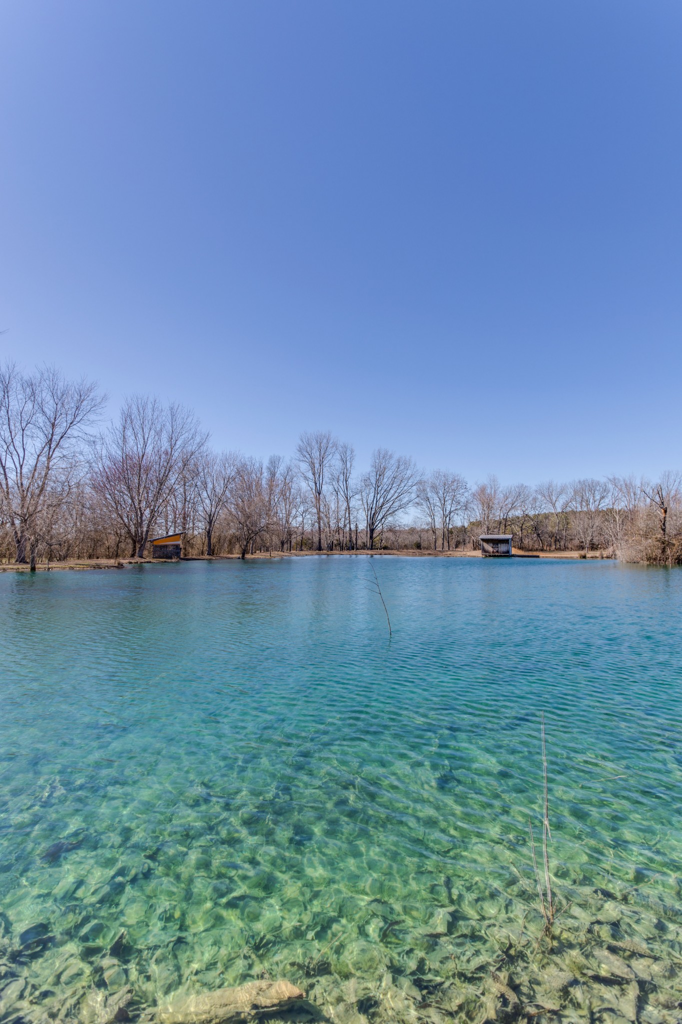 2160 Pete Sain Road Manchester, TN 37355 - Photo 54 of 64 a view of lake