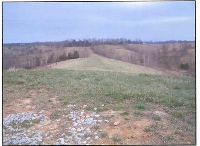 3698 Bardstown Road Lawrenceburg, KY 40342 - Photo 1 of 1 Photo 1