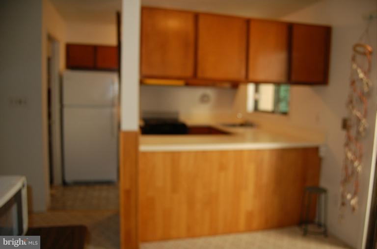 2230 Coppersmith Square Reston, VA 20191 - Photo 2 of 29 Kitchen