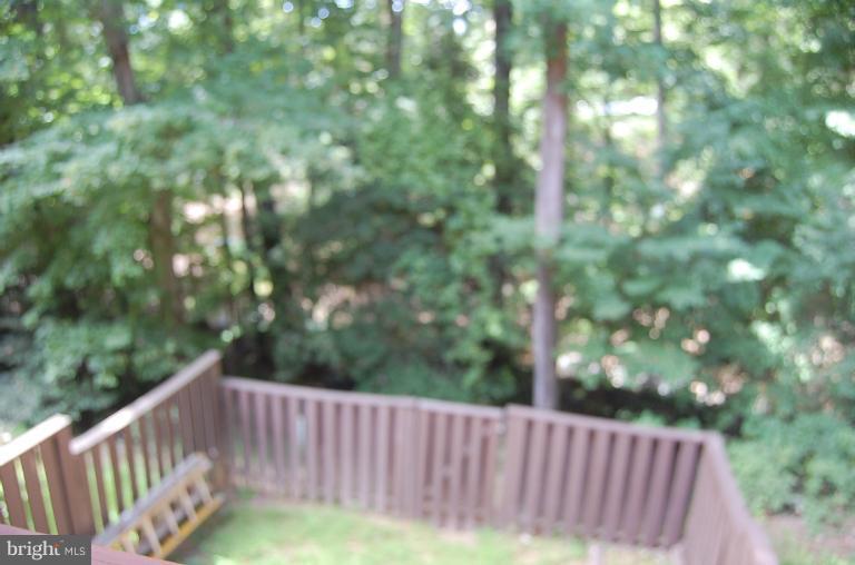 2230 Coppersmith Square Reston, VA 20191 - Photo 11 of 29 Exterior (Rear)