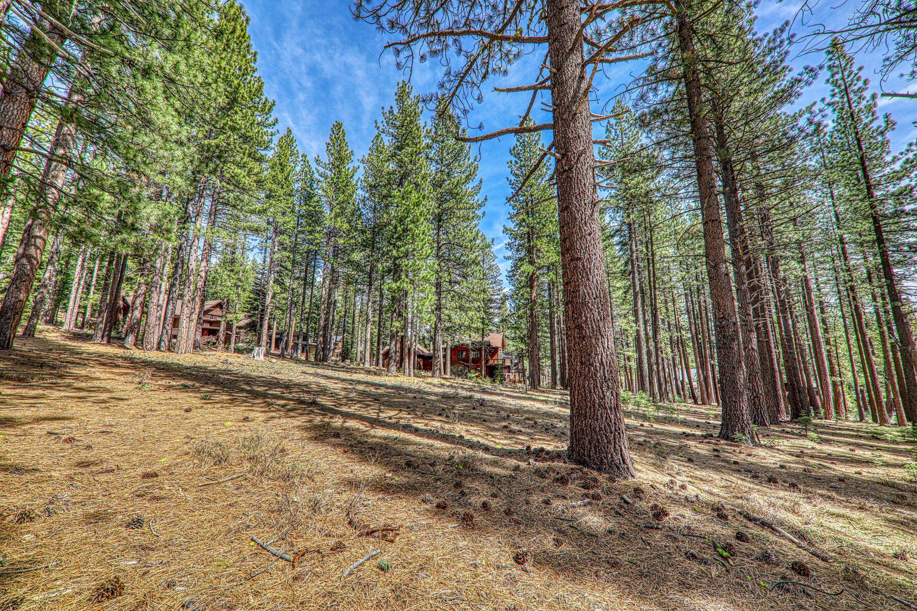 11581 Bottcher Loop Truckee, CA 96161 - Photo 14 of 23 a backyard of a house with lots of green space