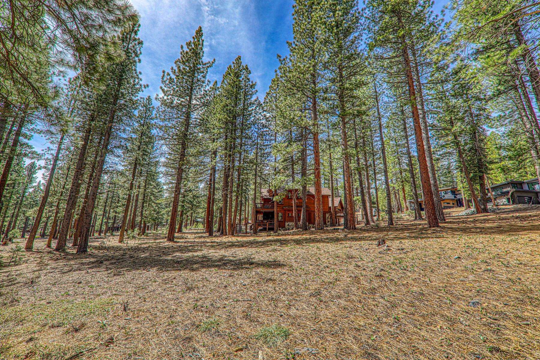 11581 Bottcher Loop Truckee, CA 96161 - Photo 17 of 23 a view of outdoor space with street view