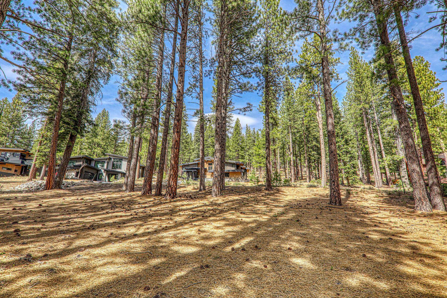 11581 Bottcher Loop Truckee, CA 96161 - Photo 19 of 23