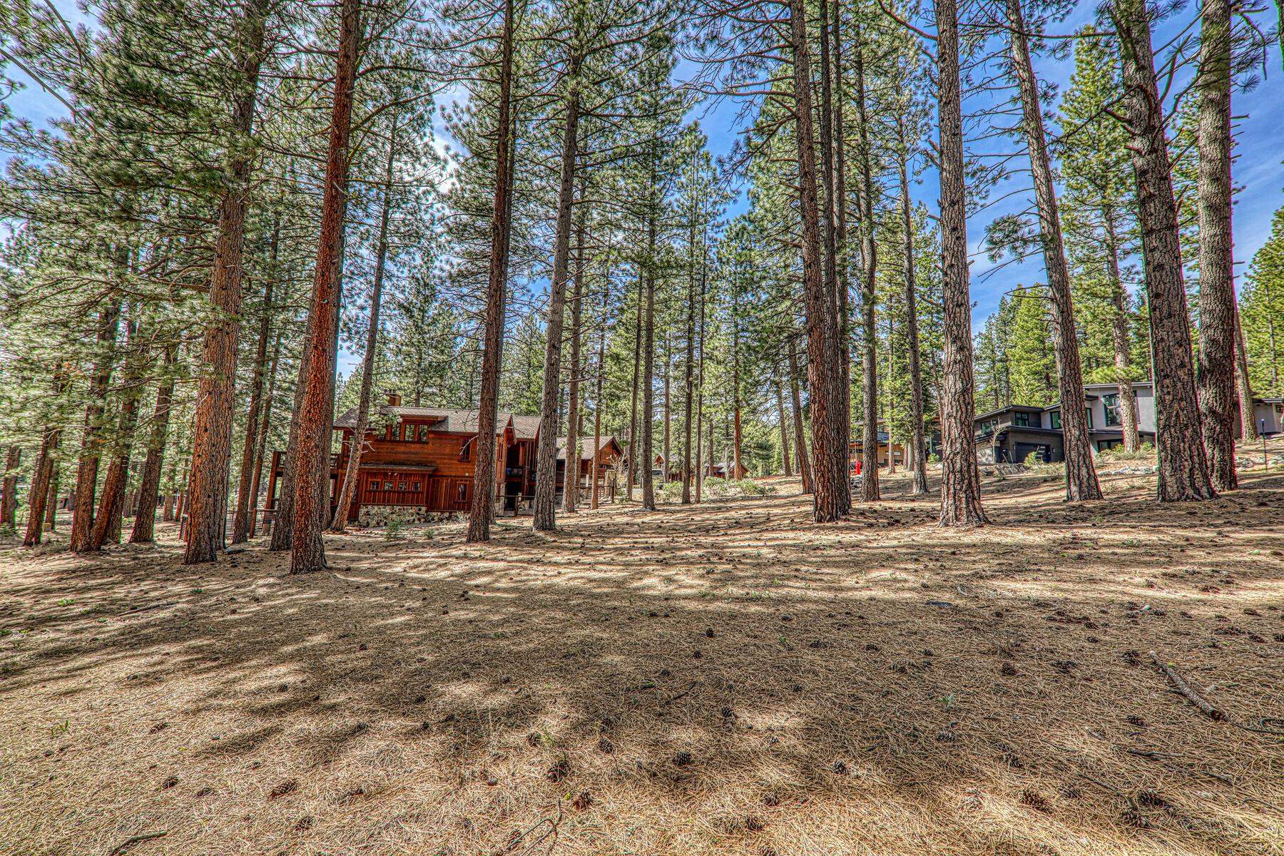 11581 Bottcher Loop Truckee, CA 96161 - Photo 21 of 23