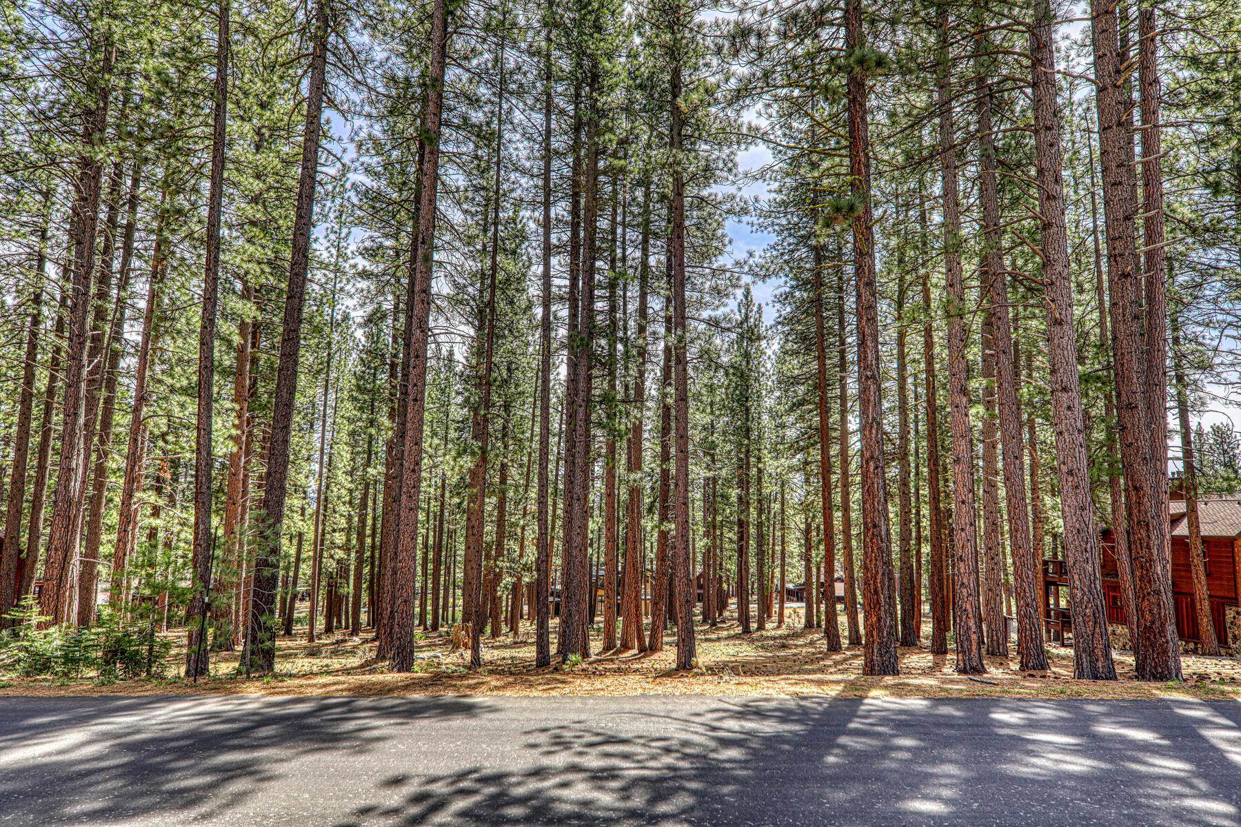 11581 Bottcher Loop Truckee, CA 96161 - Photo 3 of 23 not sure