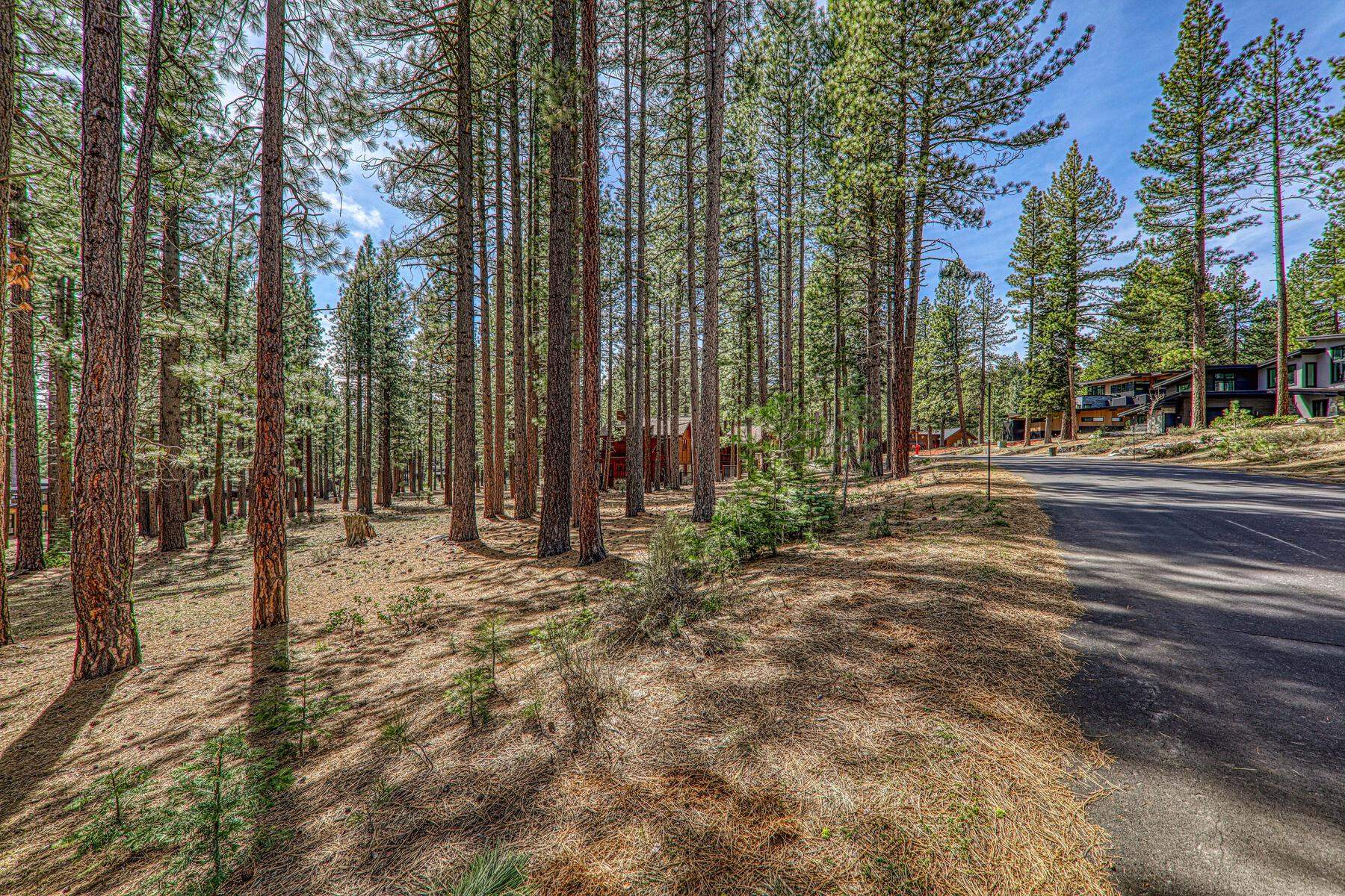 11581 Bottcher Loop Truckee, CA 96161 - Photo 4 of 23 a view of a backyard of the house