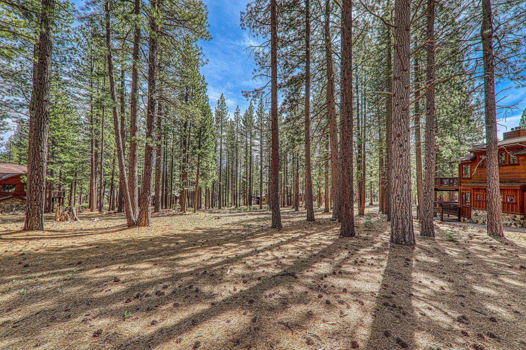 11581 Bottcher Loop Truckee, CA 96161 - Photo 9 of 23 a row of trees with a house in the background